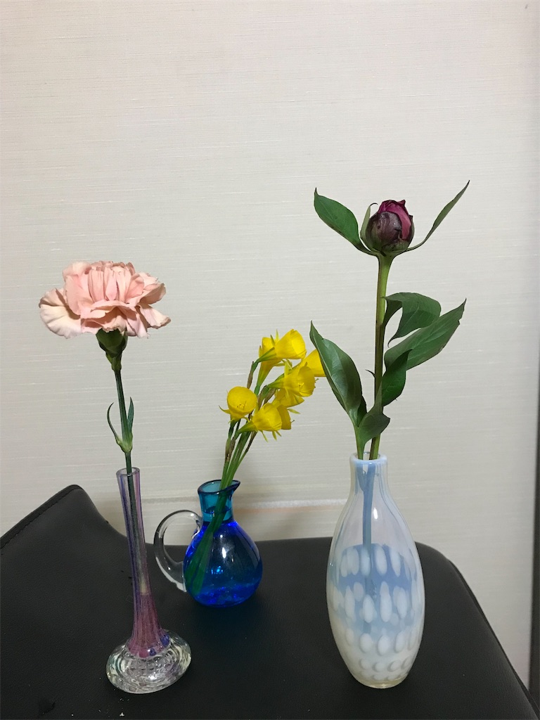 f:id:asunaro-flower:20190516233432j:image