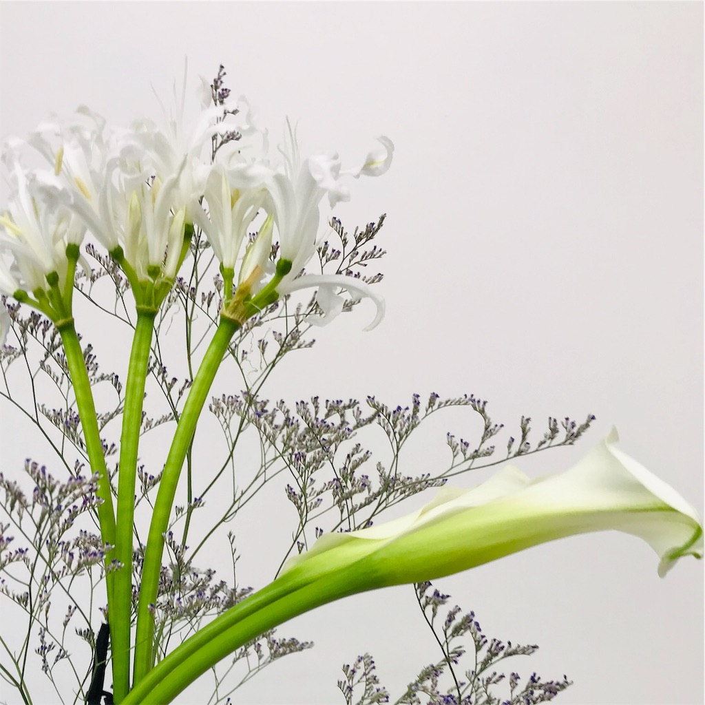 f:id:asunaro-flower:20191022180155j:image f:id:asunaro-flower:20191022180155j:image