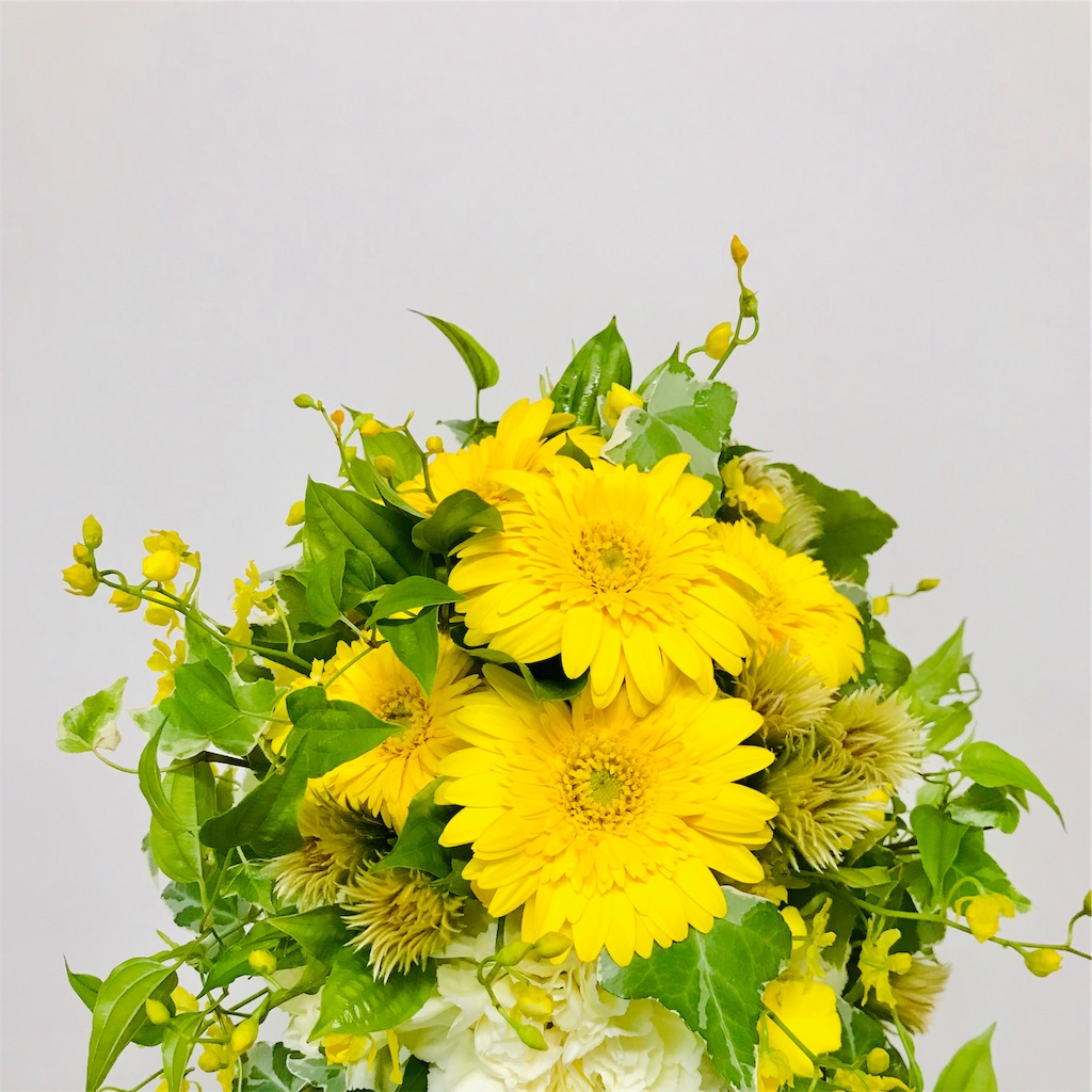 f:id:asunaro-flower:20191128180647j:image f:id:asunaro-flower:20191128180647j:image