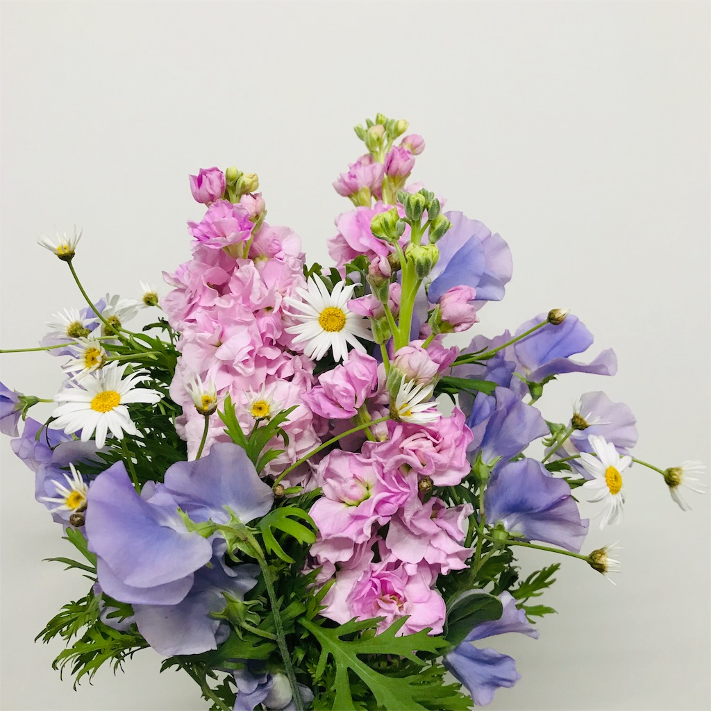 f:id:asunaro-flower:20191128214751j:image