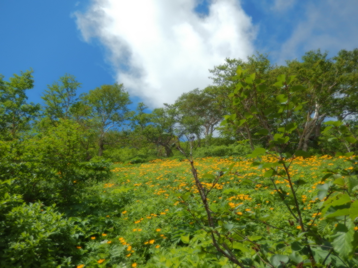f:id:asunichi:20190906163810j:plain f:id:asunichi:20190906163810j:plain