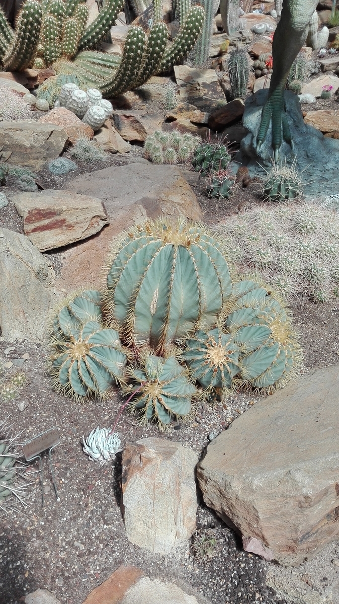 f:id:asunichi:20191101214549j:plain f:id:asunichi:20191101214549j:plain
