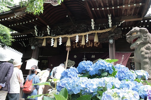 f:id:asuniwanarou:20150608102055j:plain f:id:asuniwanarou:20150608102055j:plain