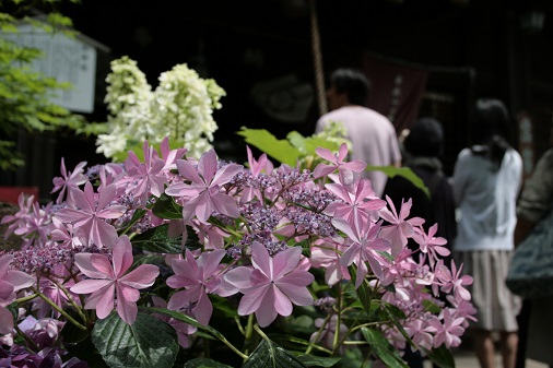 f:id:asuniwanarou:20150608103430j:plain f:id:asuniwanarou:20150608103430j:plain