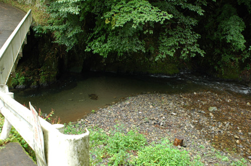 北秋川で脱 ボウズ 明日 釣りに行こう