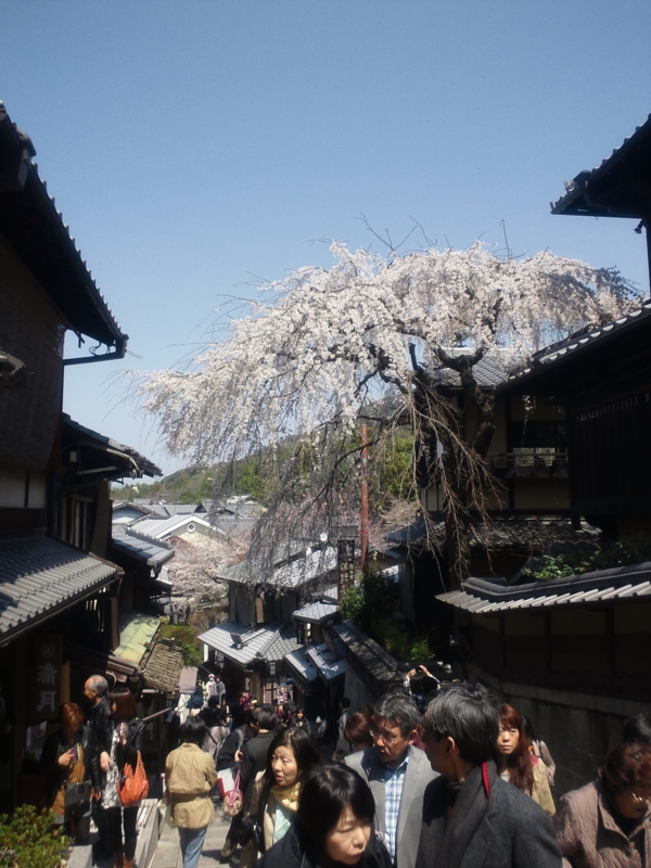 f:id:asyura85chun:20120408121053j:image:w360