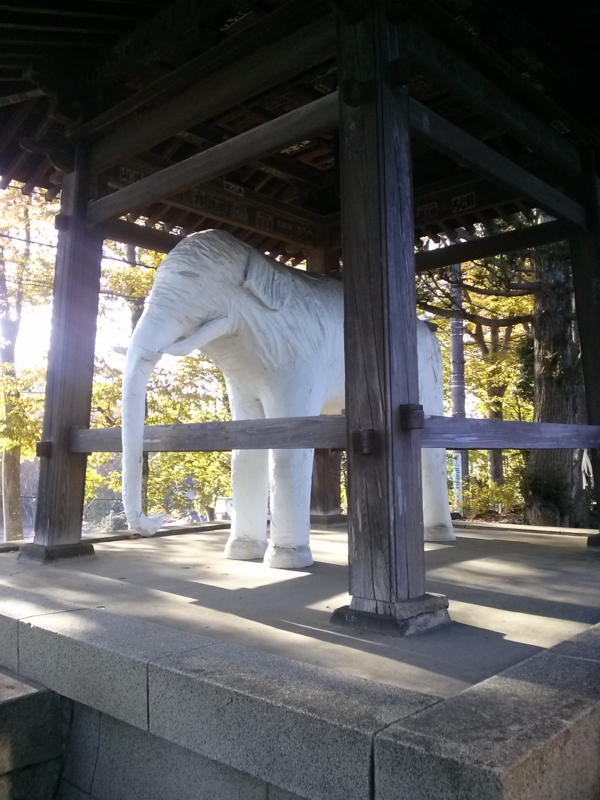f:id:atNous:20141118142254j:image