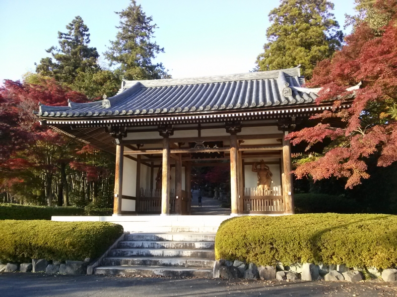 f:id:atNous:20141118152627j:image