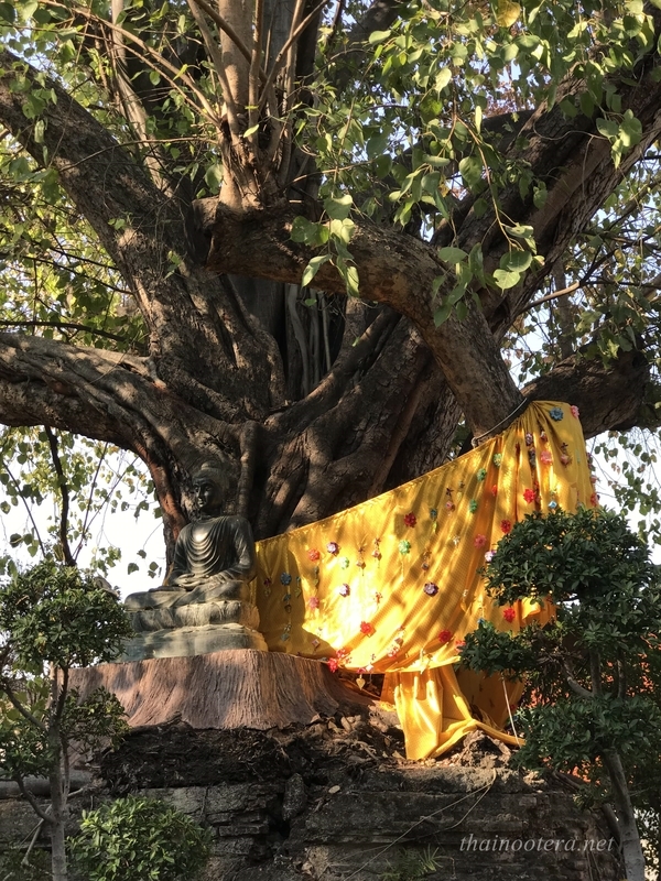 f:id:at_yayoi:20190304133146j:plain