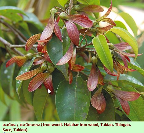 f:id:at_yayoi:20200307100909j:plain f:id:at_yayoi:20200307100909j:plain