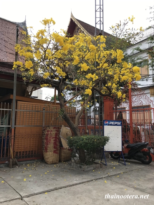 f:id:at_yayoi:20220302151109j:plain