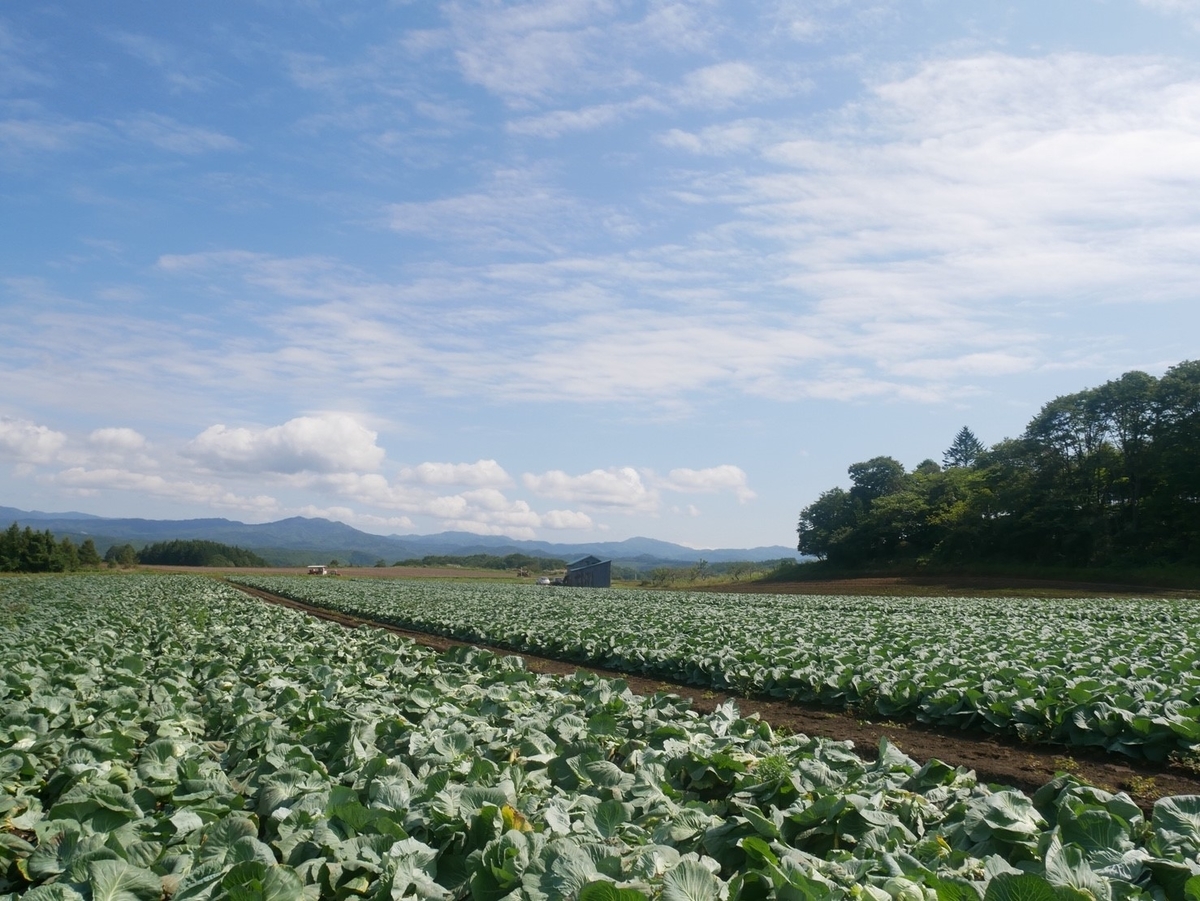 f:id:atakahito08:20190504234048j:plain f:id:atakahito08:20190504234048j:plain
