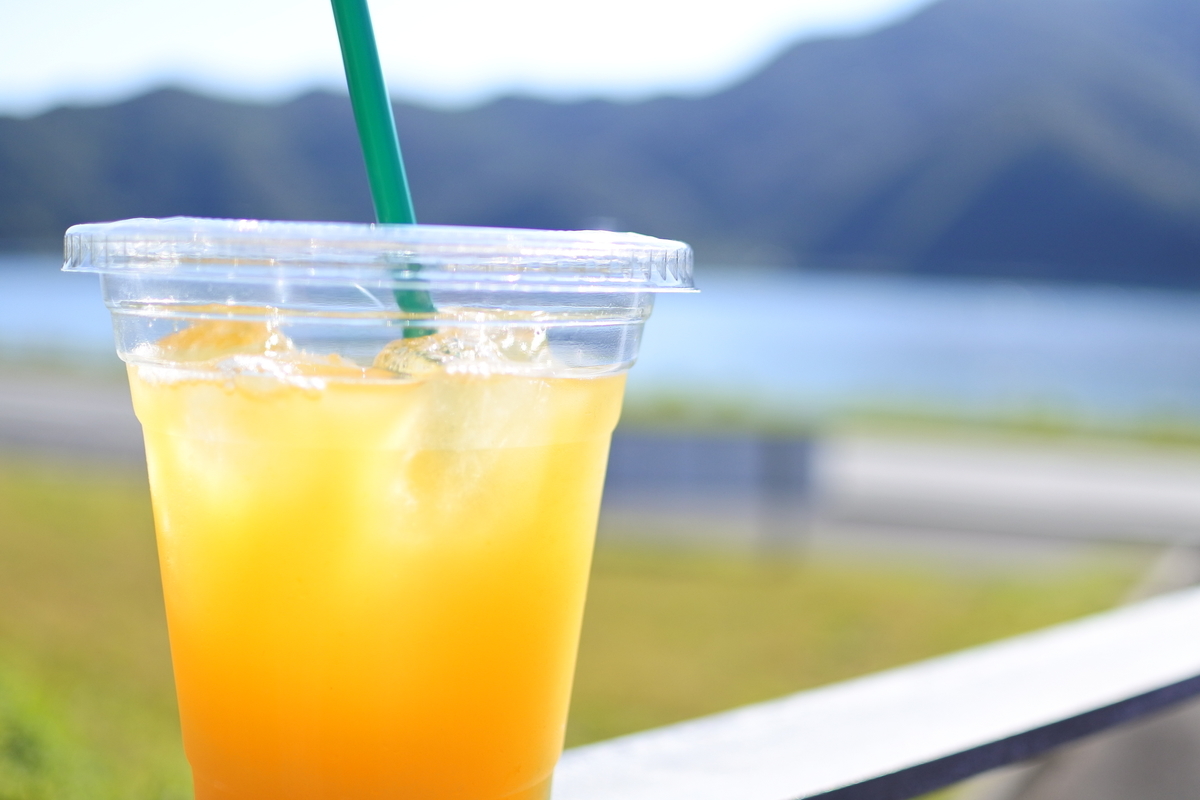 タンカンソーダと湖