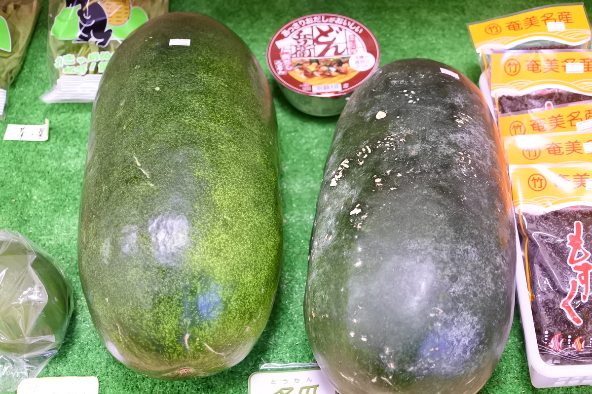 大きな冬瓜