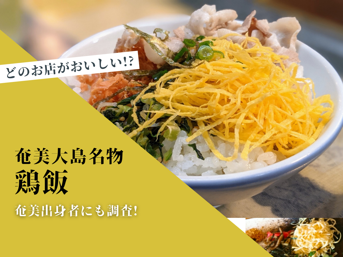 鶏飯