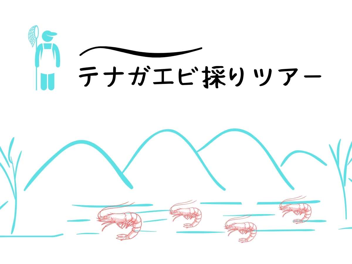 テナガエビ採り体験ツアー