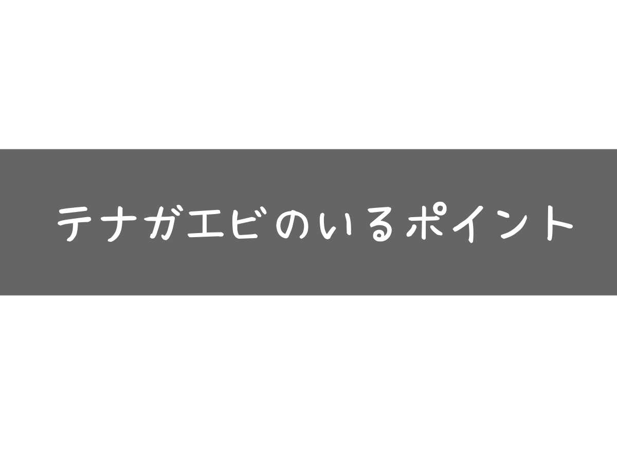 テナガエビポイント