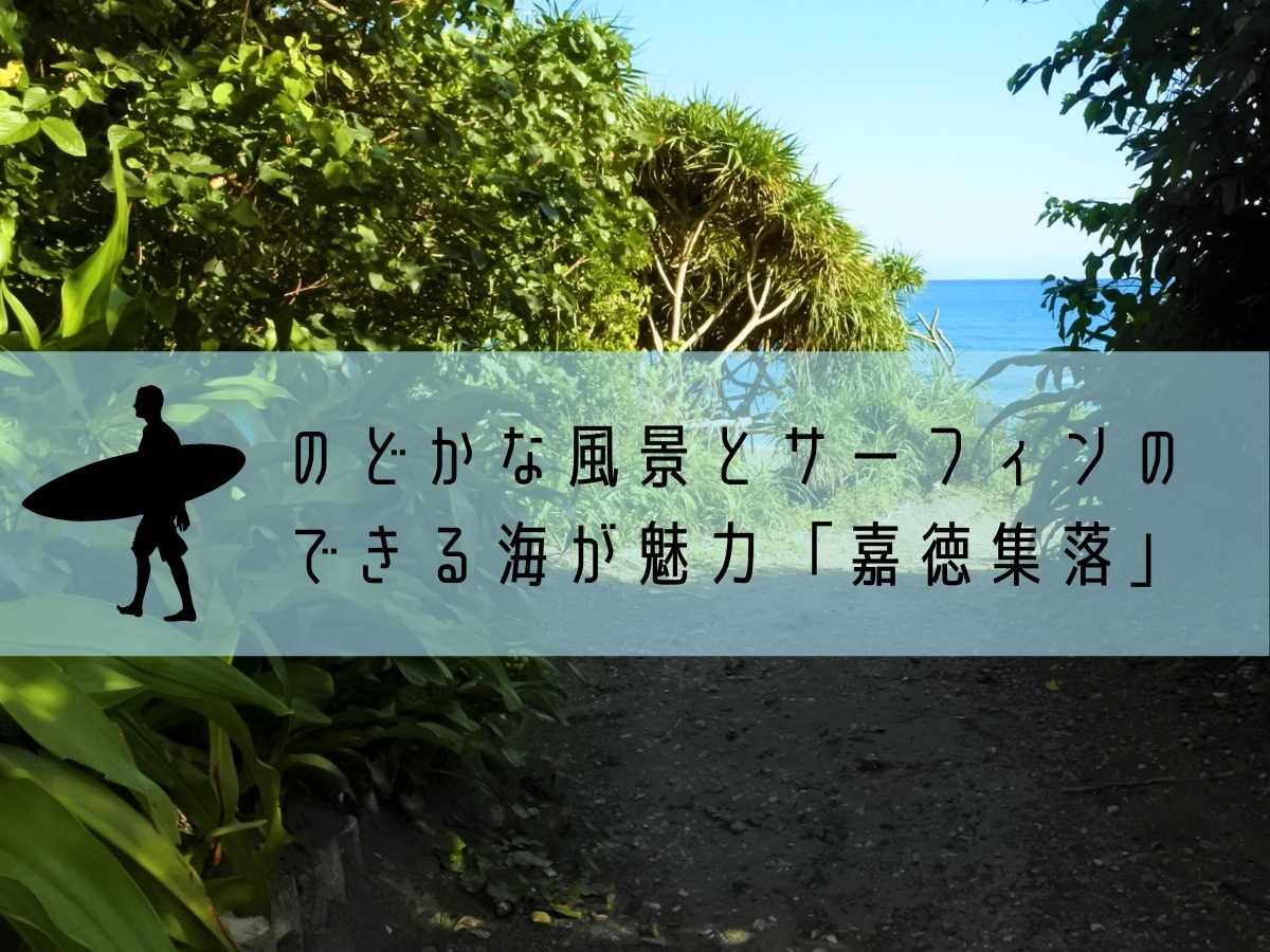 奄美 嘉徳集落