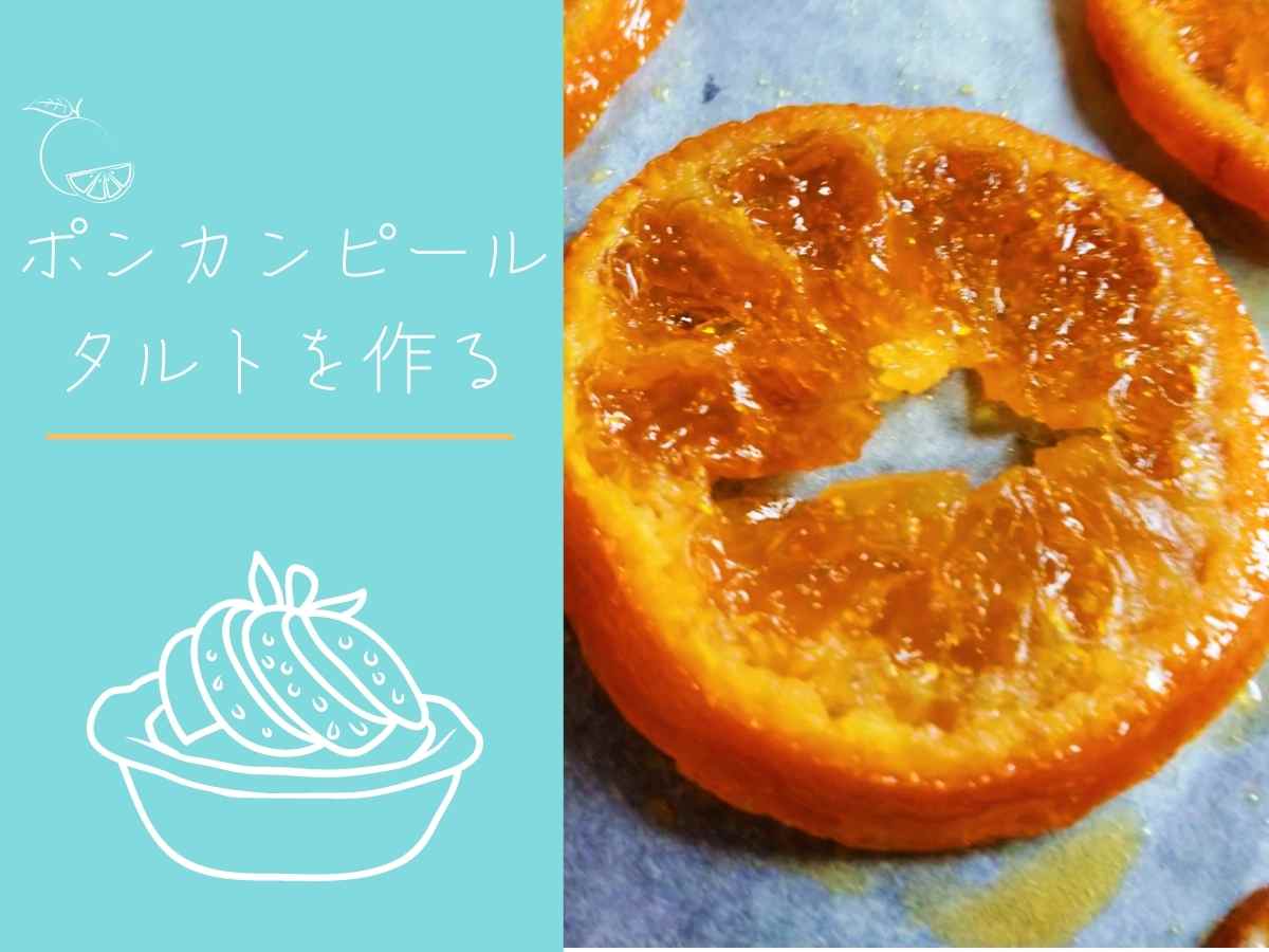 ポンカンピールタルト