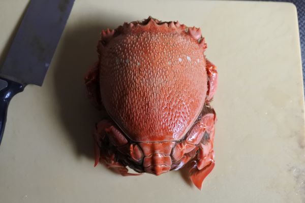 アサヒガニ