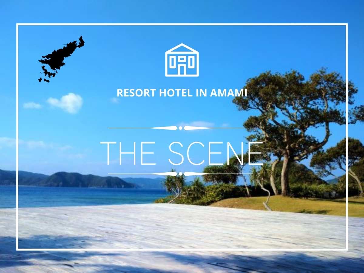 THE SCENE 奄美大島