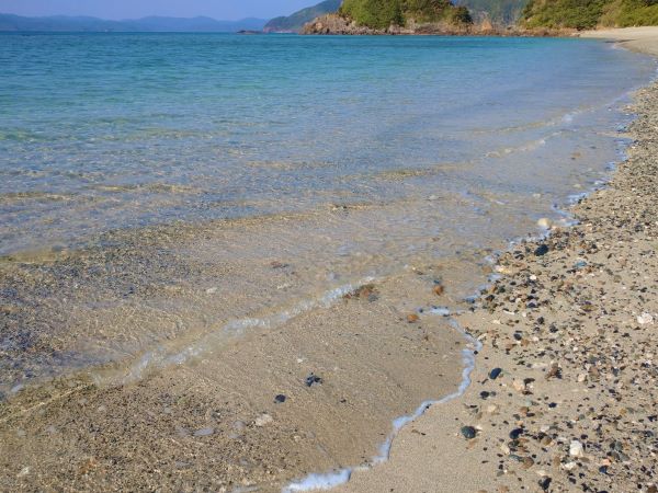 ヤドリ浜ビーチ