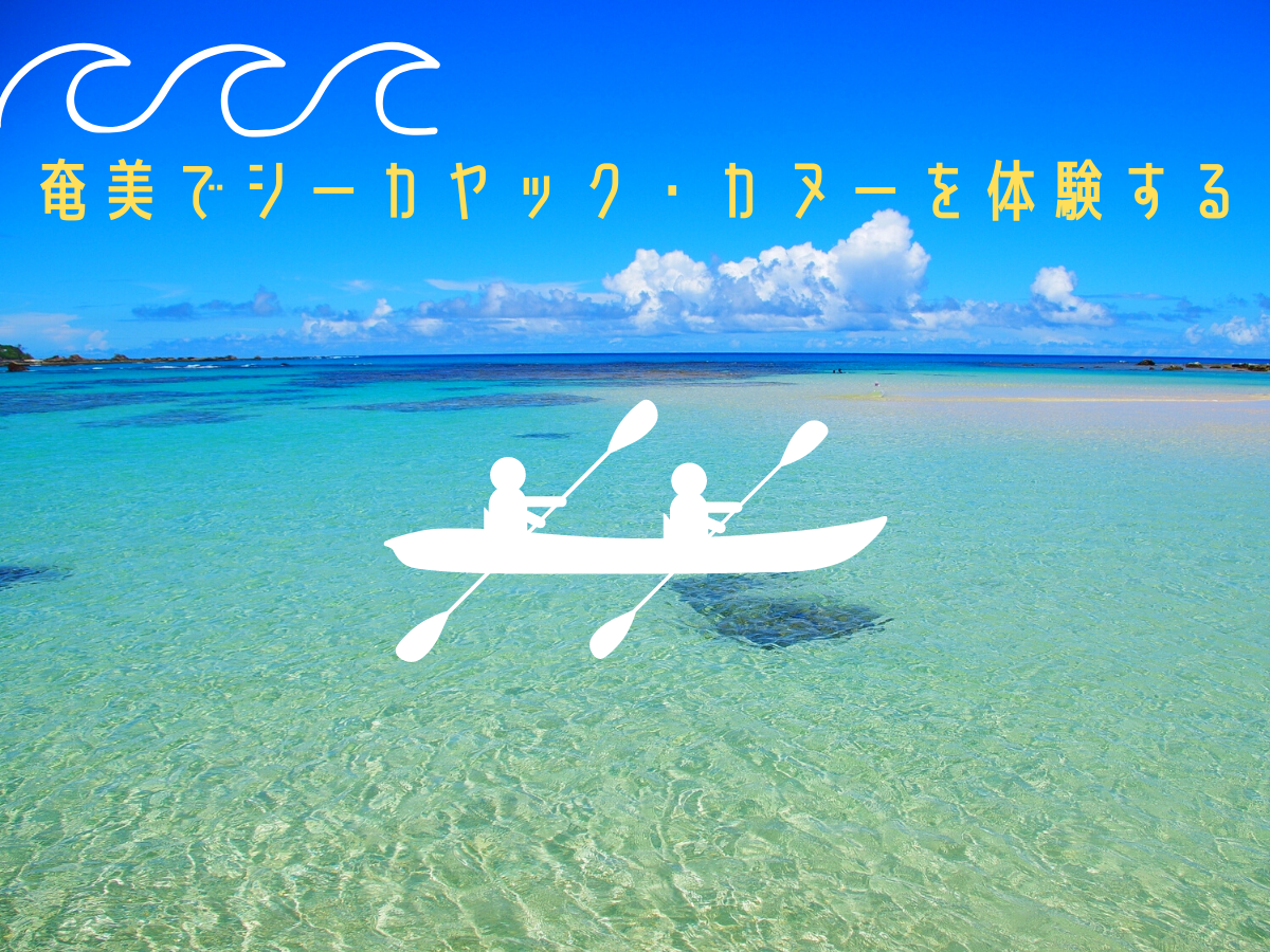 奄美でおすすめの海のアクティビティ「カヌー・シーカヤック」