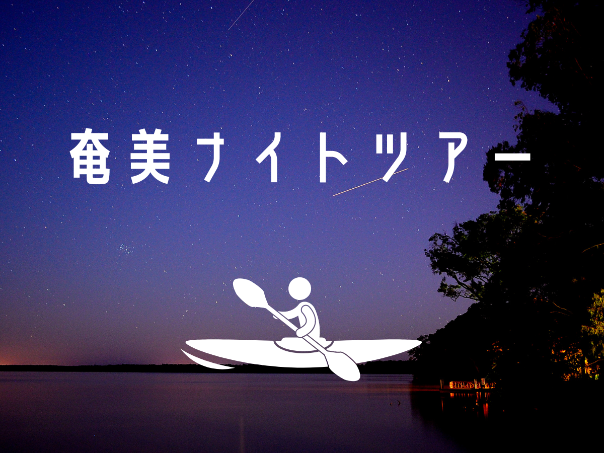 奄美ナイトツアー