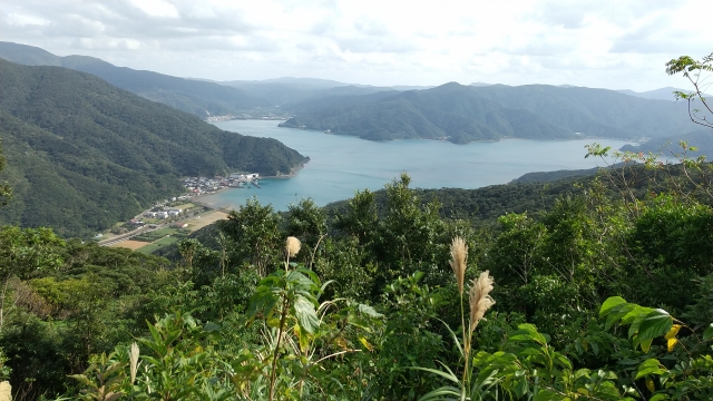 宇検村の風景