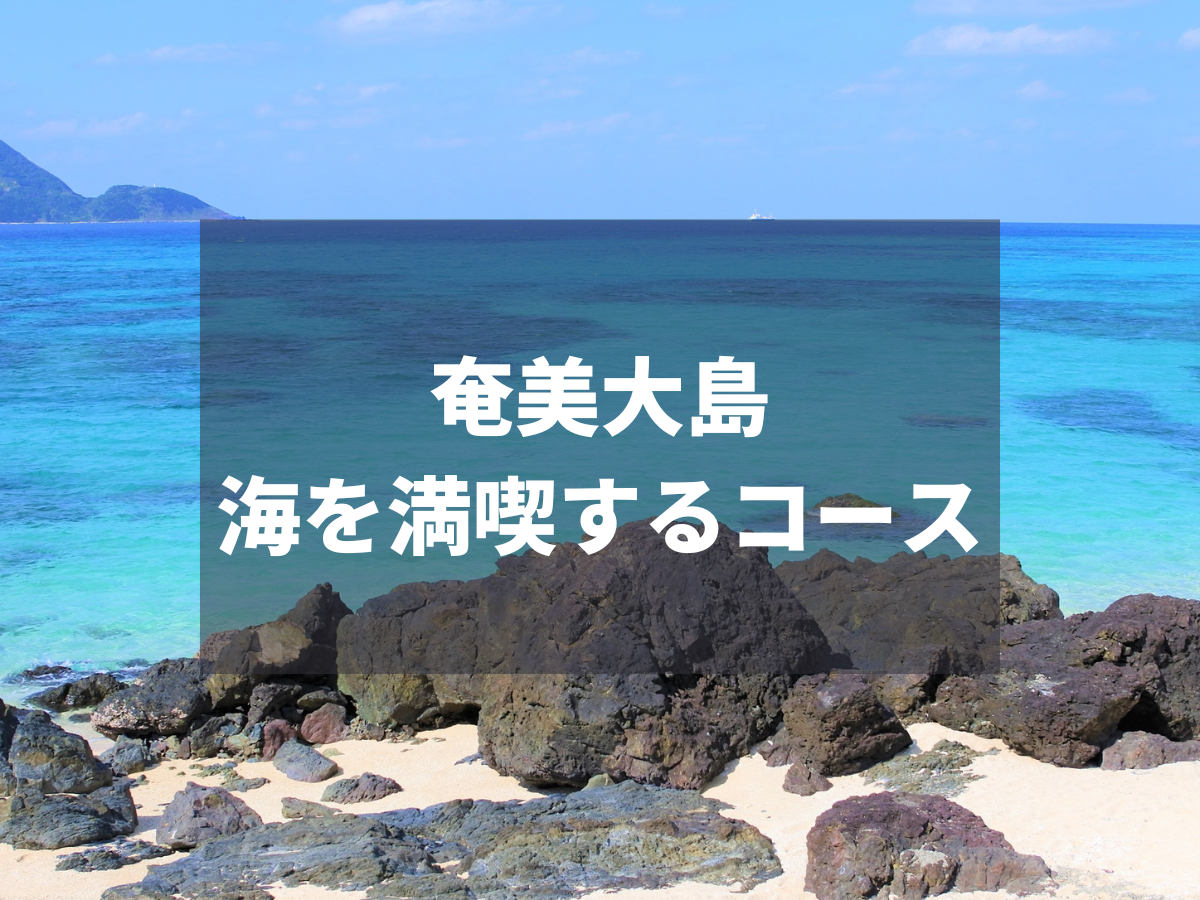 奄美大島 海を満喫