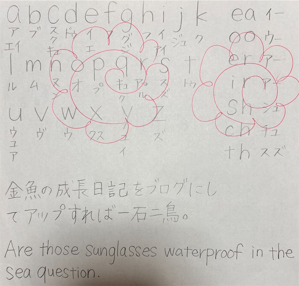 f:id:atamashikaku:20240616220428j:image