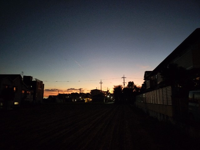 f:id:atamatokokoro:20241012225654j:image