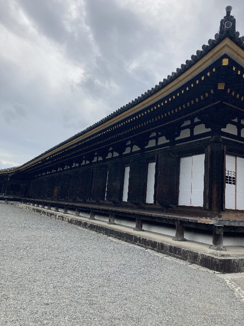 f:id:atamatokokoro:20241016232244j:image