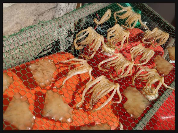 f:id:atamigo:20210405162212j:plain