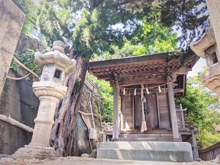 f:id:atamigo:20210512162045j:plain