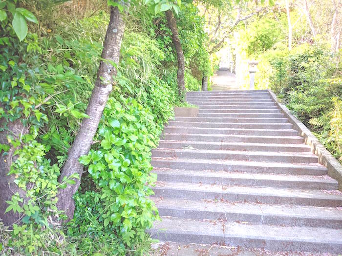 f:id:atamigo:20210512162114j:plain