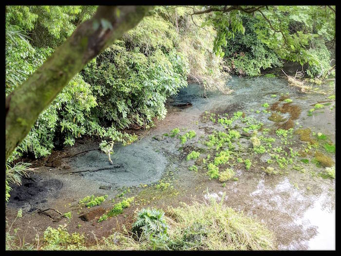 f:id:atamigo:20210531220917j:plain