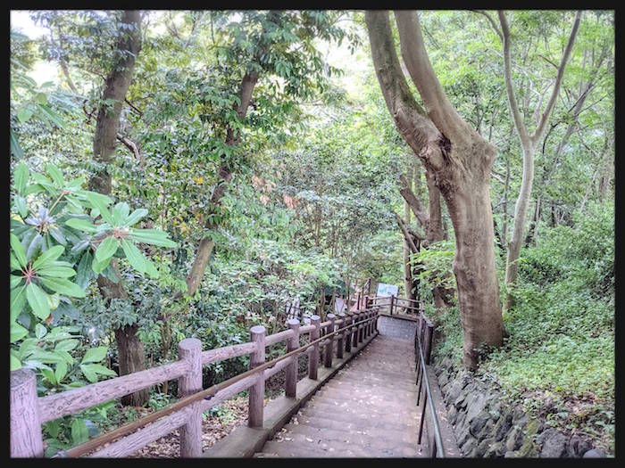 f:id:atamigo:20210531221930j:plain