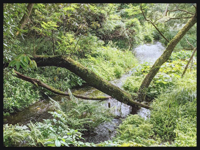 f:id:atamigo:20210531235408j:plain