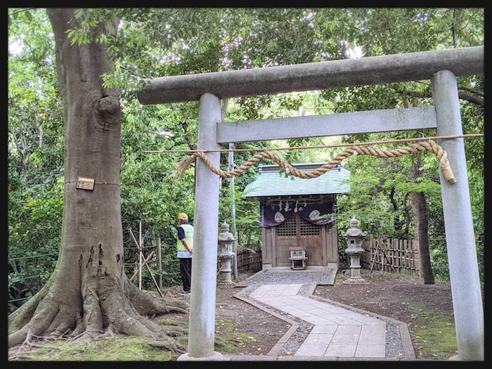 f:id:atamigo:20210601001200j:plain