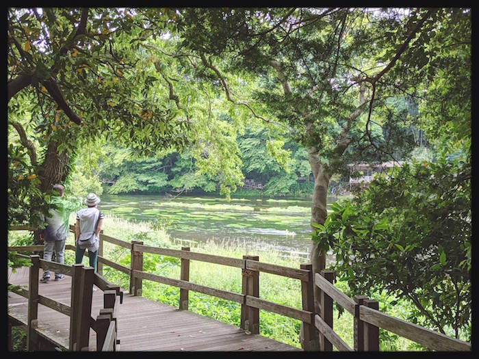 f:id:atamigo:20210601002916j:plain