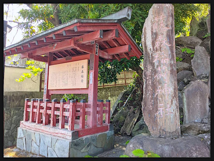 f:id:atamigo:20210613222549j:plain