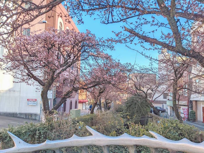 f:id:atamigo:20220123170445j:plain