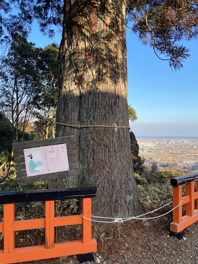 f:id:atarashiijibunni:20260218173434j:image f:id:atarashiijibunni:20260218173434j:image