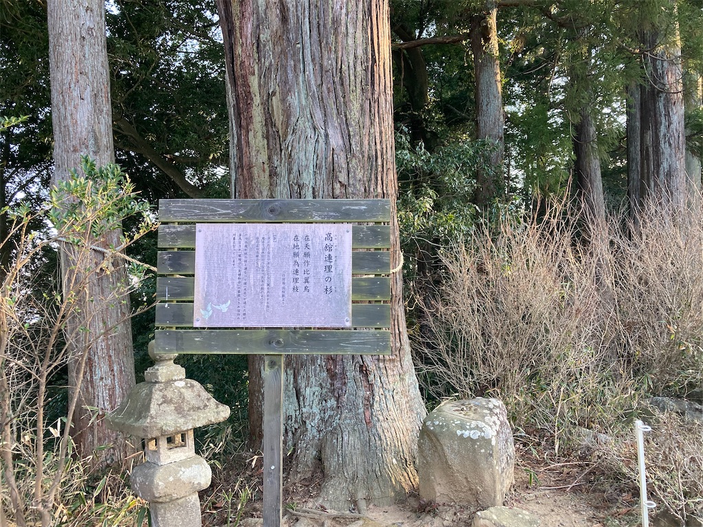 f:id:atarashiijibunni:20260218173443j:image f:id:atarashiijibunni:20260218173443j:image