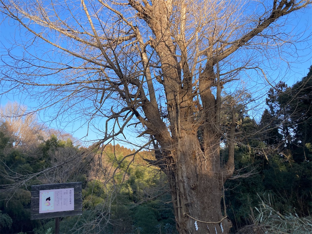 f:id:atarashiijibunni:20260218173448j:image f:id:atarashiijibunni:20260218173448j:image