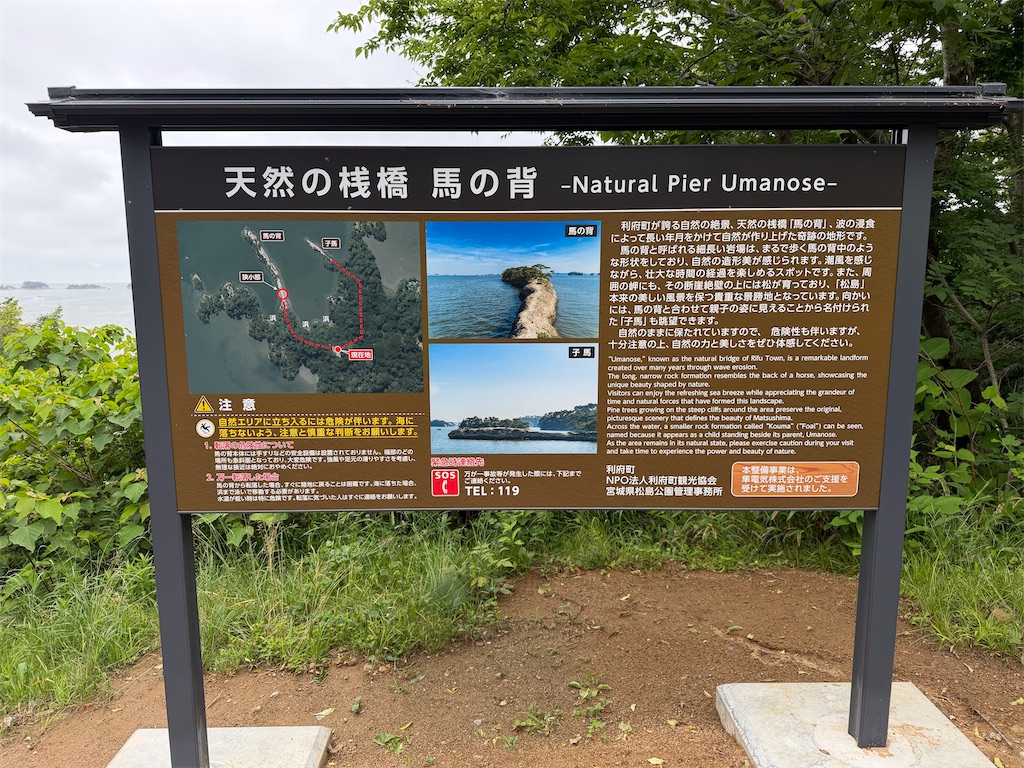 f:id:atarashiijibunni:20260607101743j:image f:id:atarashiijibunni:20260607101743j:image