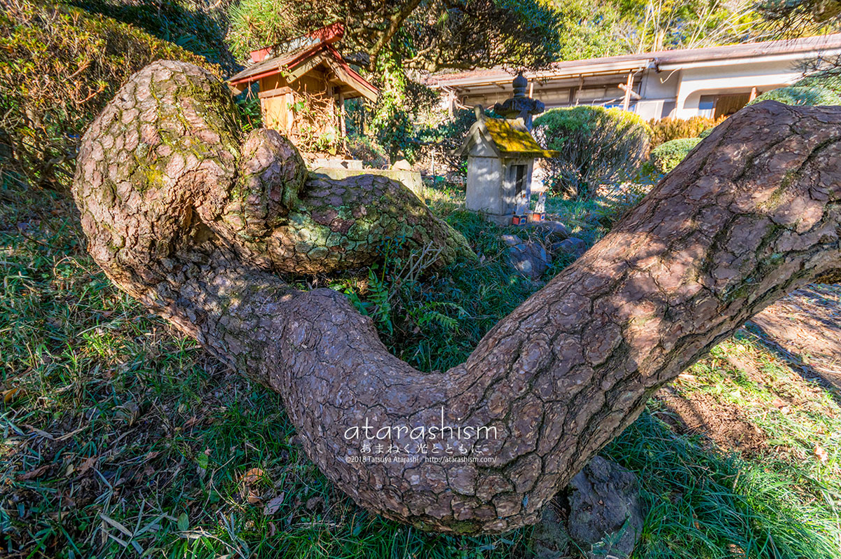 f:id:atarashism:20190607000809j:plain