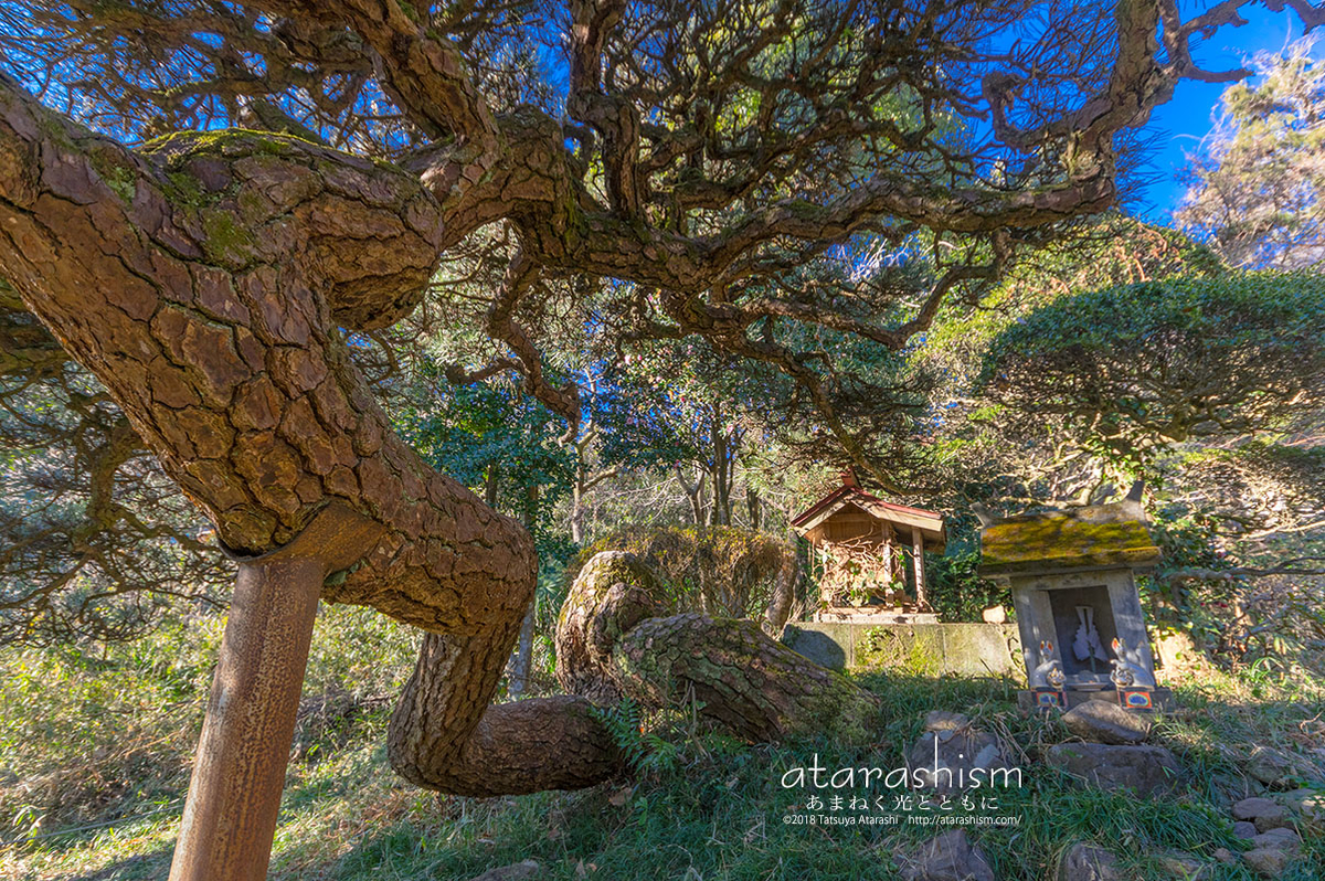 f:id:atarashism:20190607000821j:plain