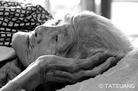 f:id:atarashism:20190614032754j:plain